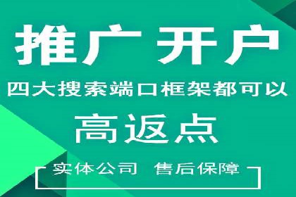 SEM竞价广告投放效果案例分析
